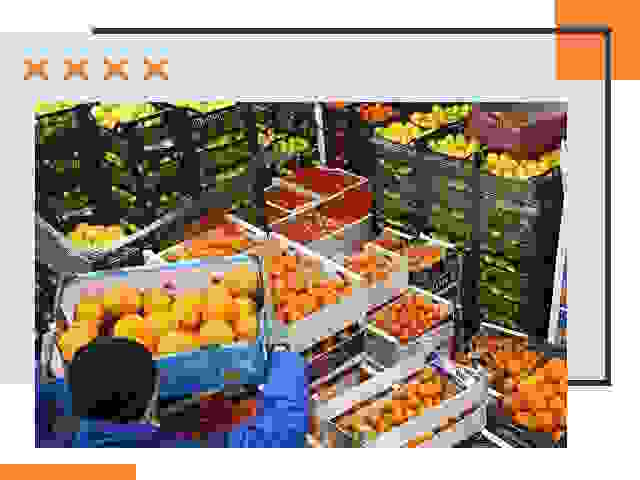 Перевозка скоропортящихся продуктов в Мичуринске